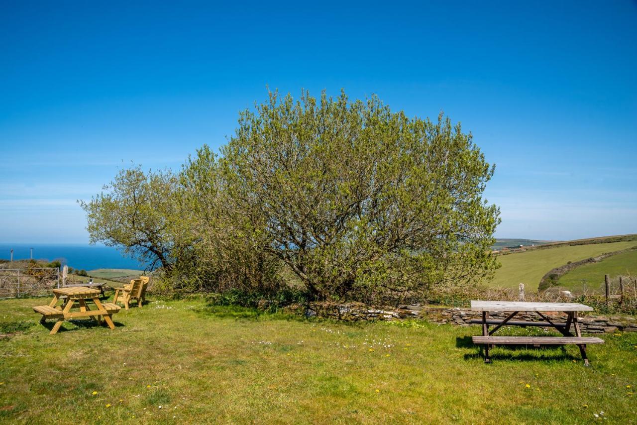 Polrunny Farm Seaberry Cottage With A Sea View And Log Burner بوسكاسِل المظهر الخارجي الصورة