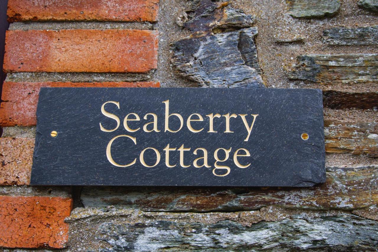 Polrunny Farm Seaberry Cottage With A Sea View And Log Burner بوسكاسِل المظهر الخارجي الصورة