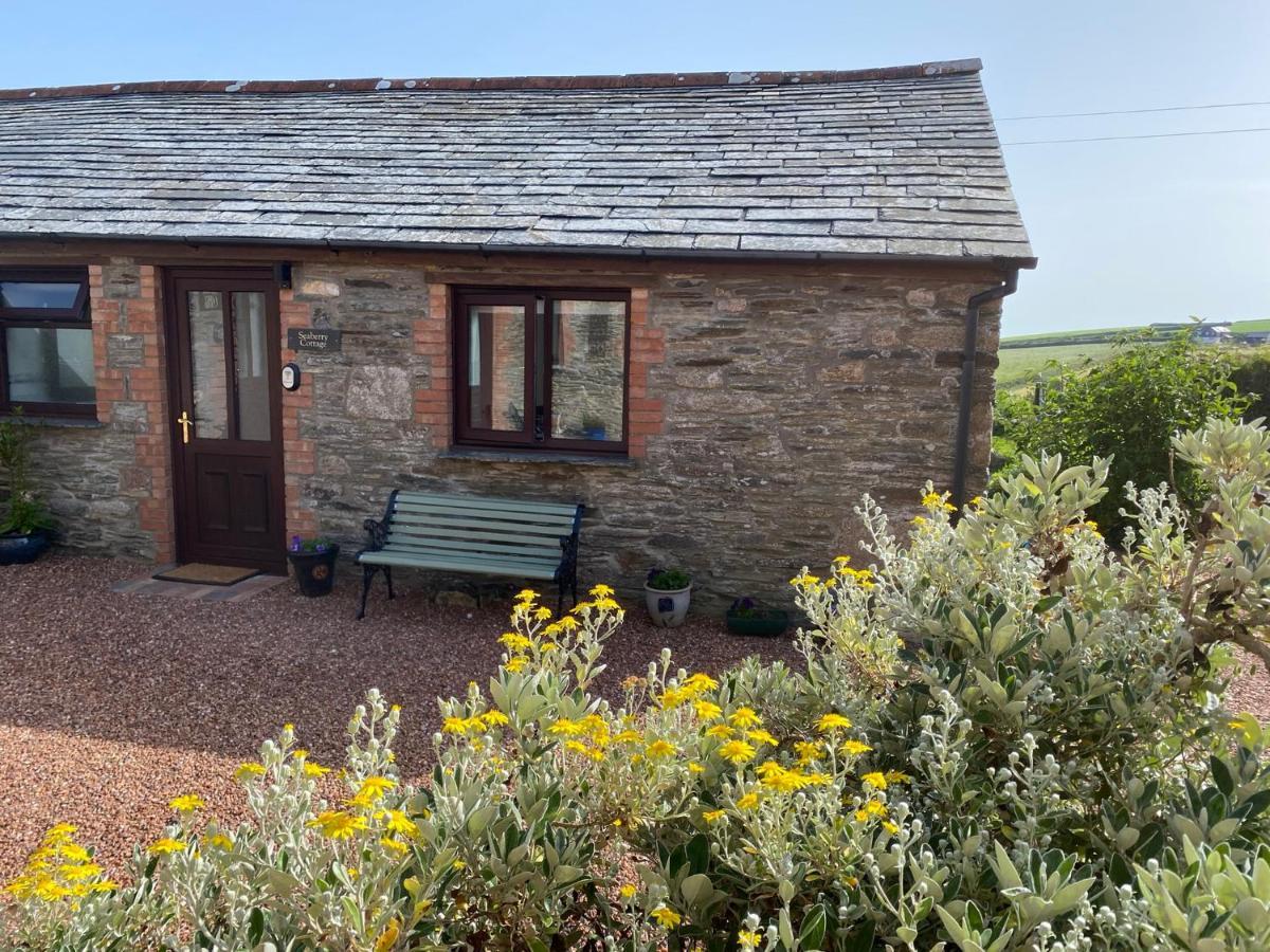 Polrunny Farm Seaberry Cottage With A Sea View And Log Burner بوسكاسِل المظهر الخارجي الصورة