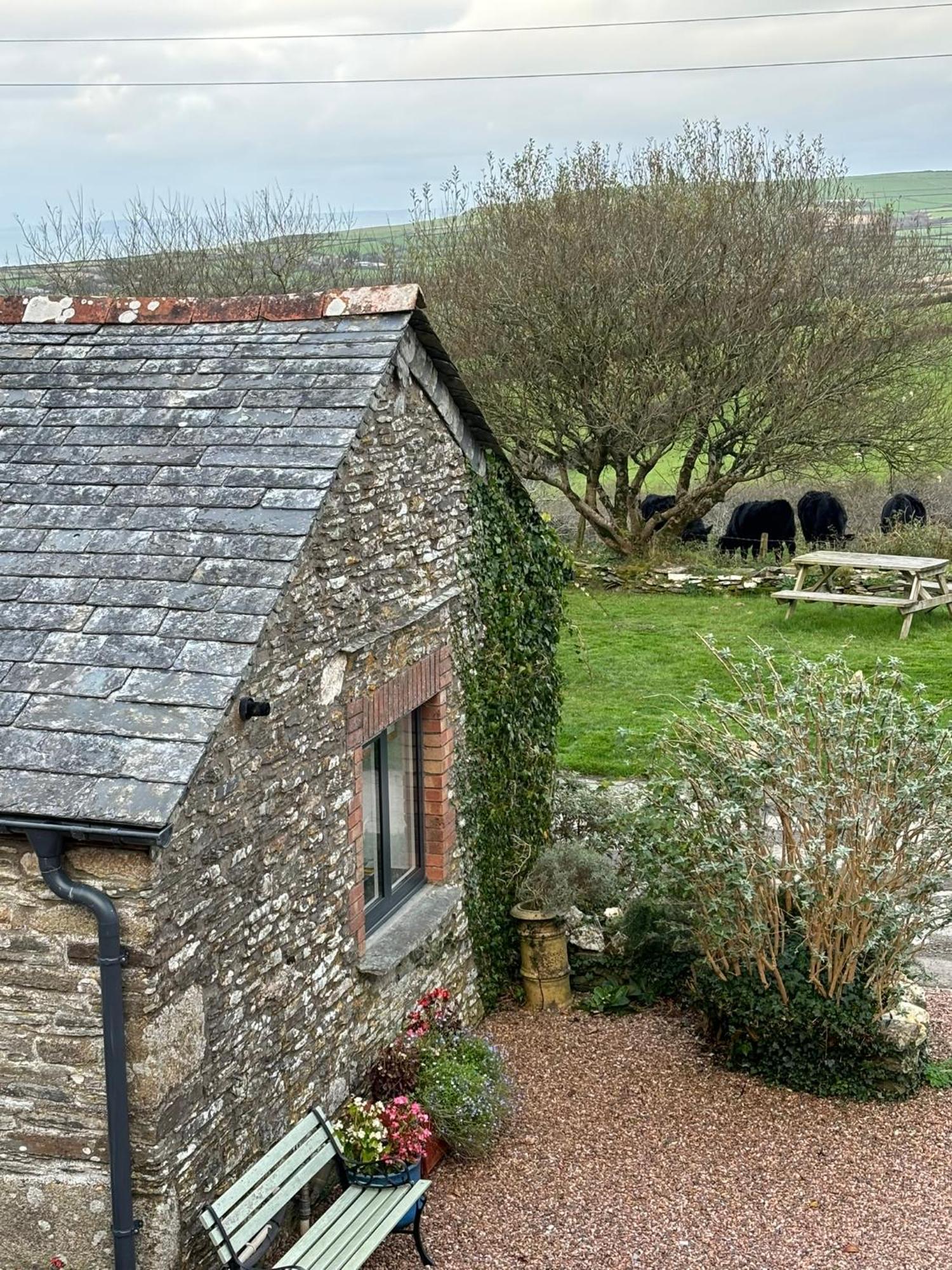 Polrunny Farm Seaberry Cottage With A Sea View And Log Burner بوسكاسِل المظهر الخارجي الصورة